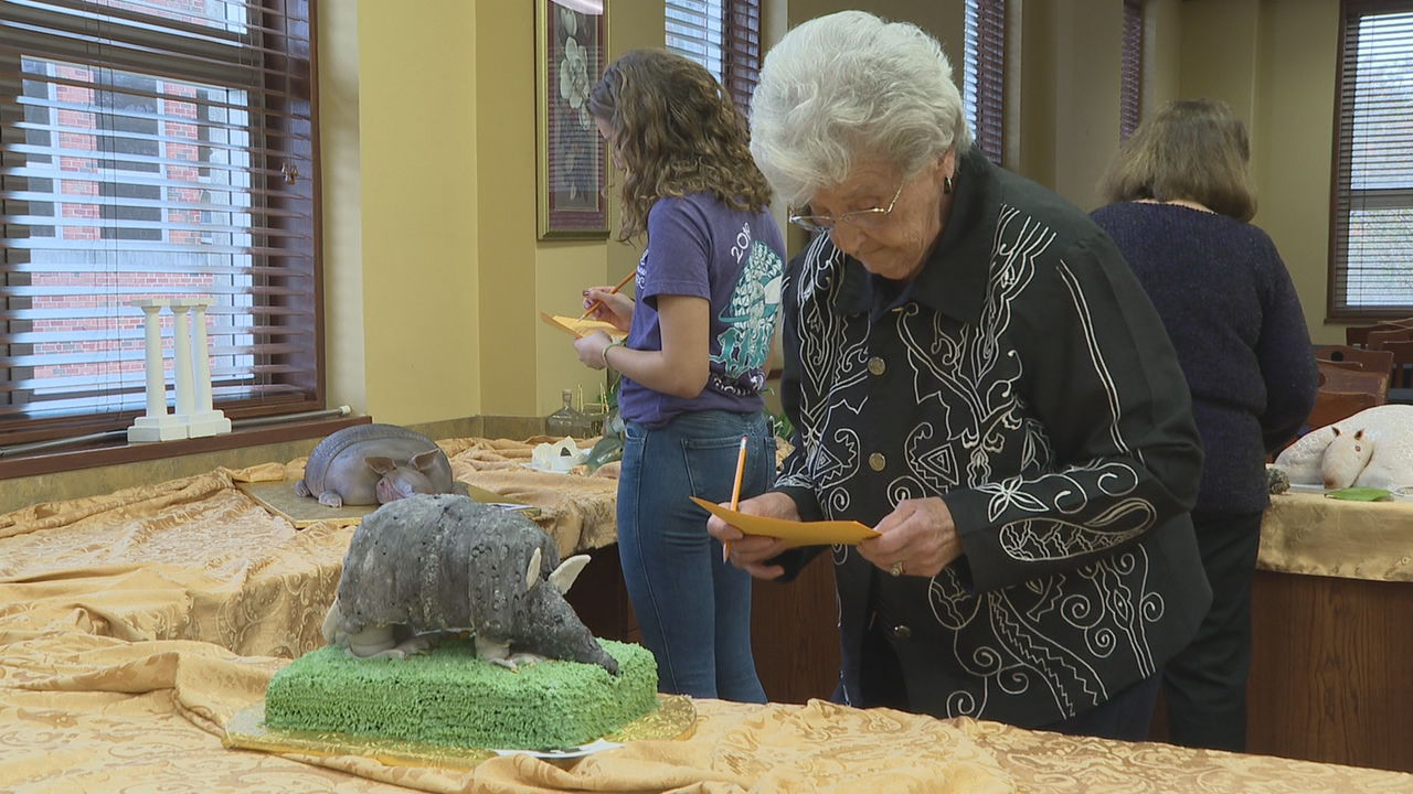 Armadillo cake baking contest.jpg